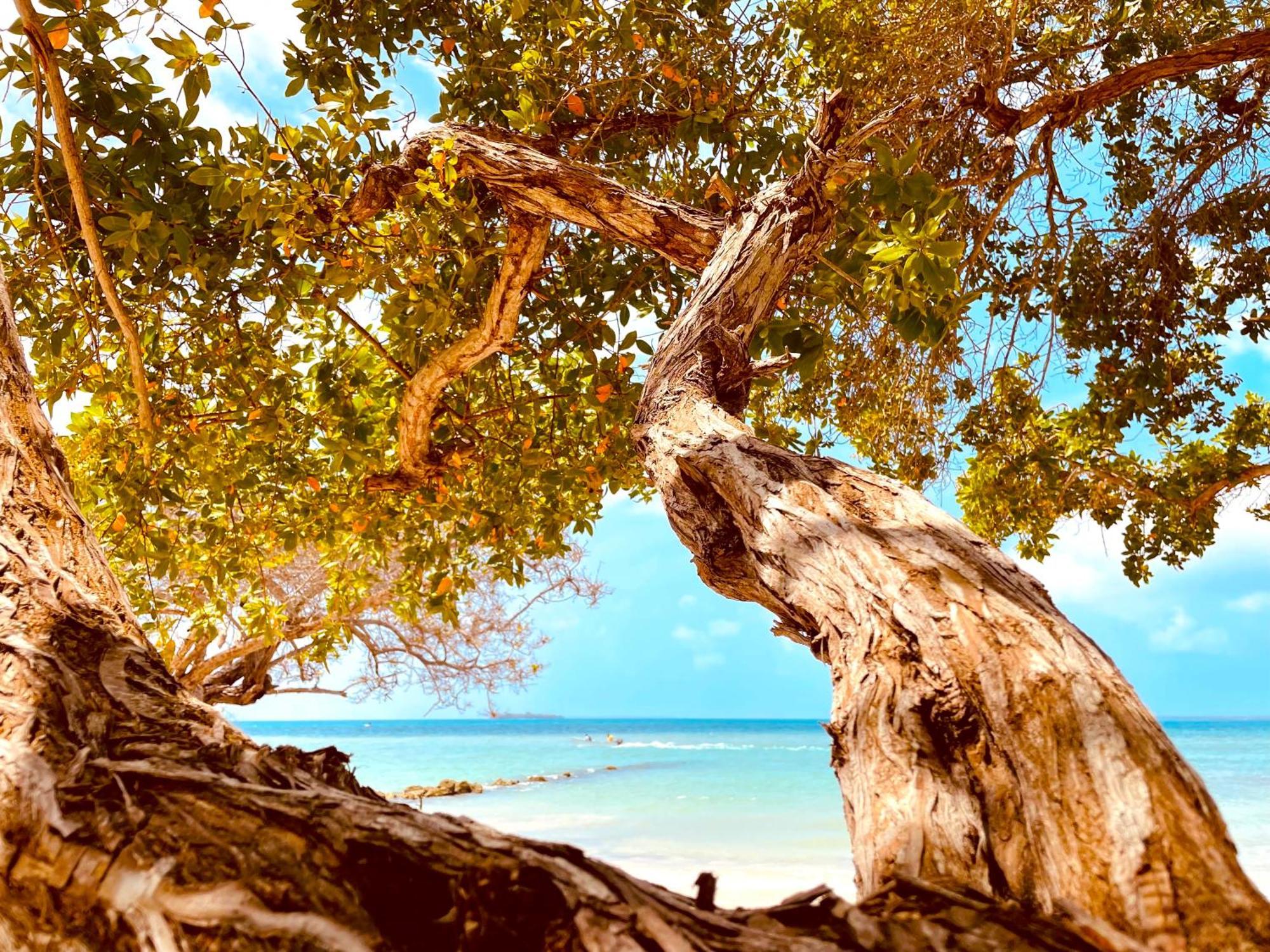 Hotel Carey Beach Baru Bagian luar foto
