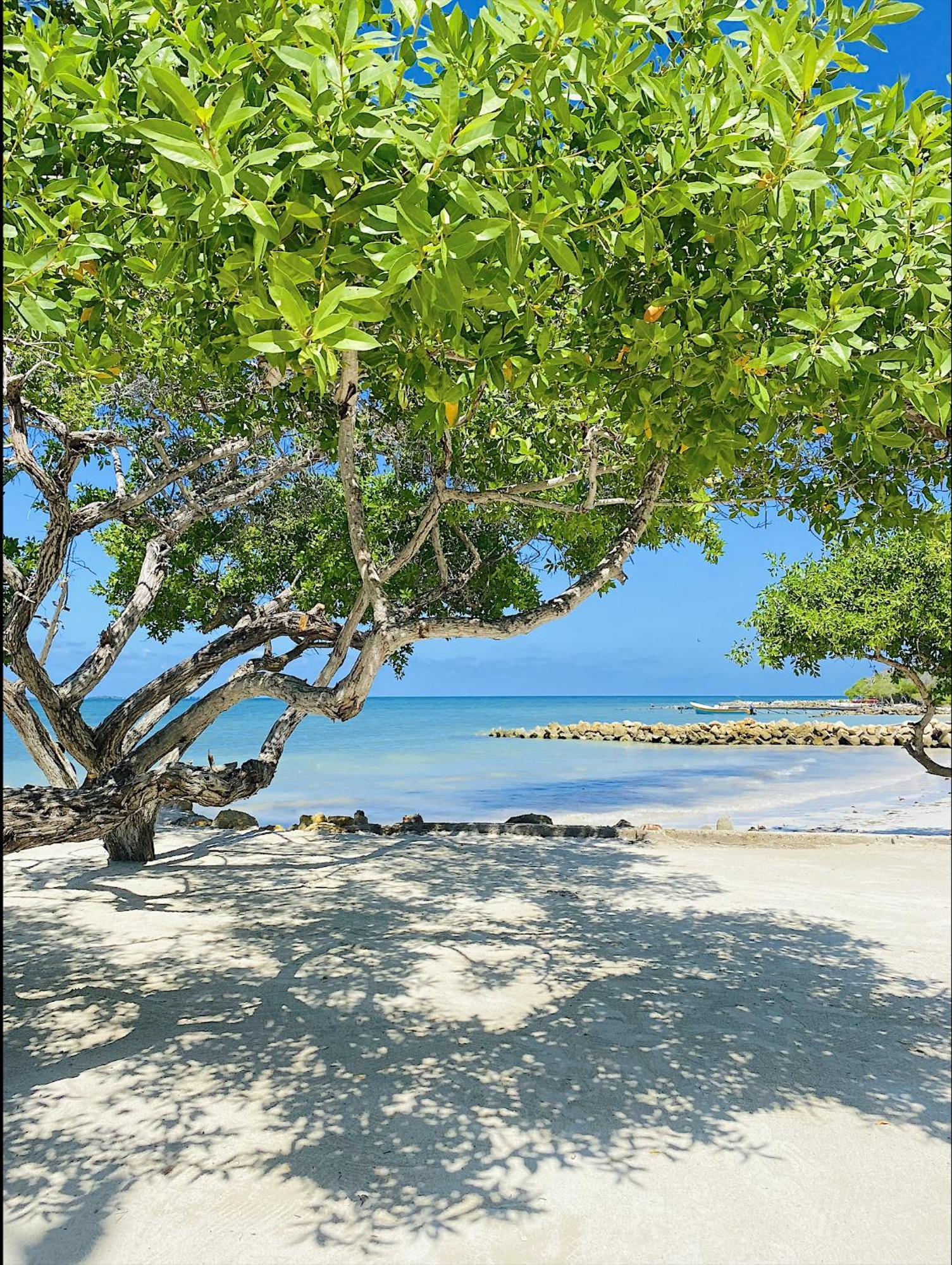 Hotel Carey Beach Baru Bagian luar foto