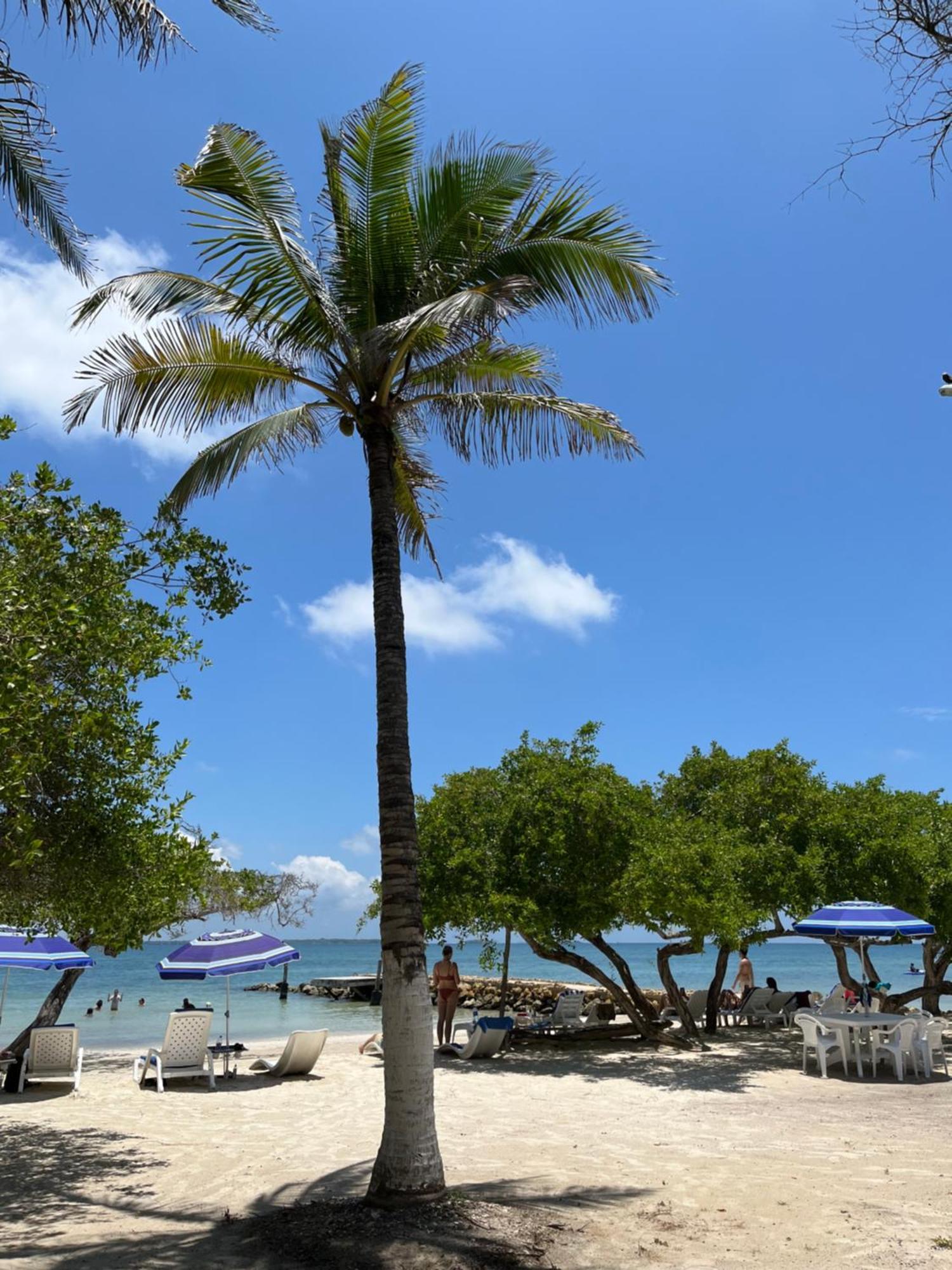 Hotel Carey Beach Baru Bagian luar foto